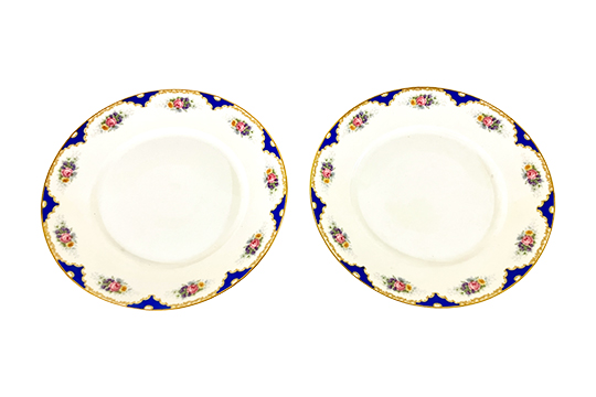 2 PIATTI VINTAGE, PORCELLANA ROSENTHAL SELB BAVARIA (2301 ROSE) DIM. 25,50
