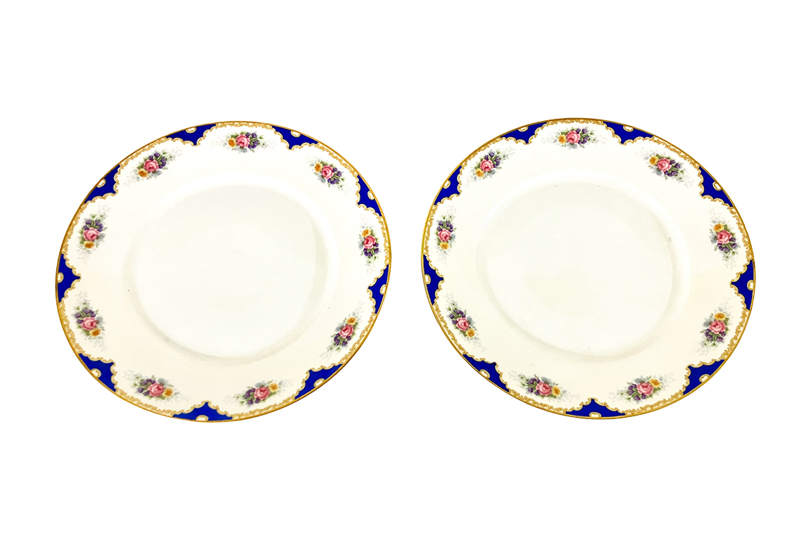 2 PIATTI VINTAGE, PORCELLANA ROSENTHAL SELB BAVARIA (2301 ROSE) DIM. 25,50
